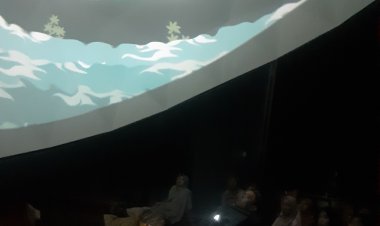 PLANET DOME STUDIO AMPHIBI